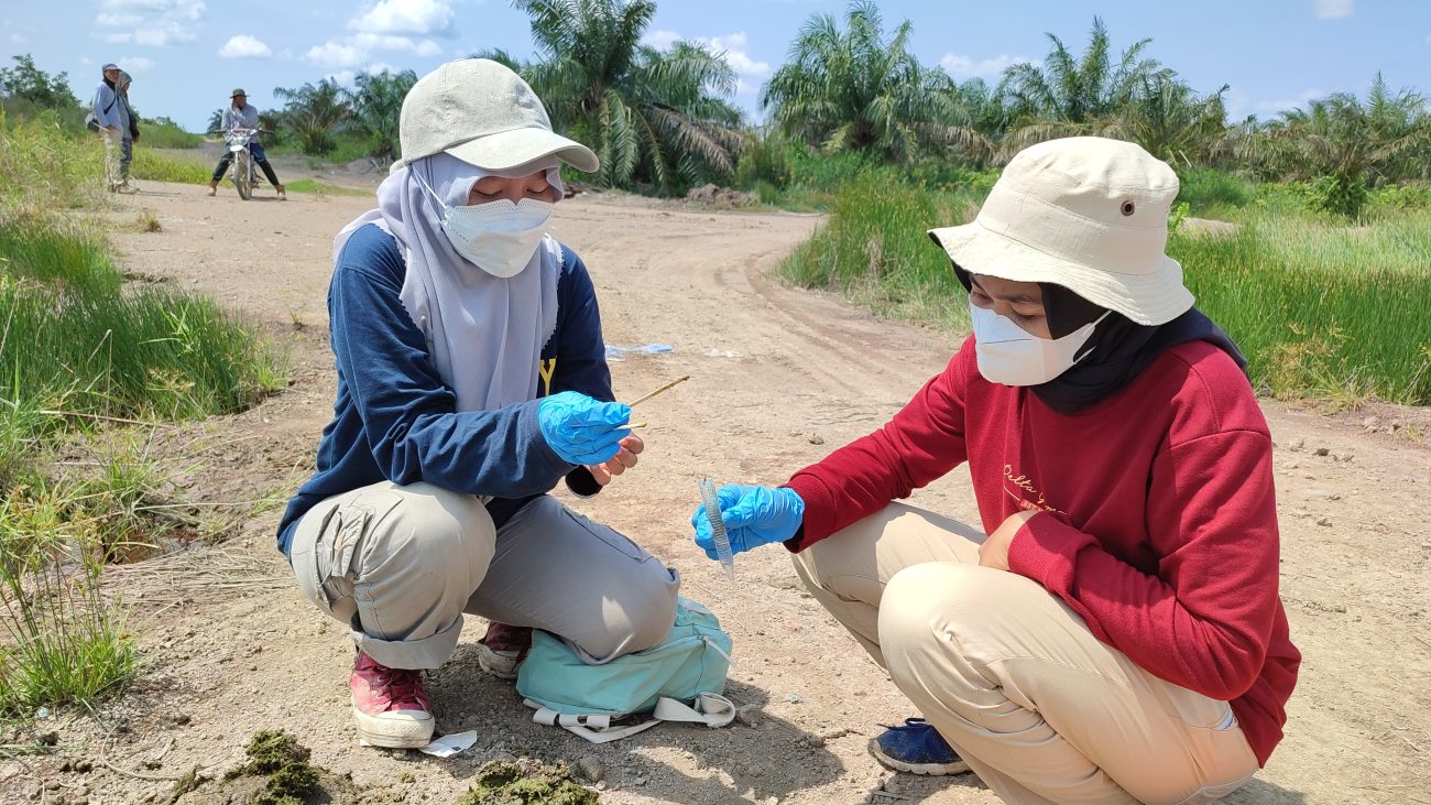 penelitian-gajah-sumatera-lalan-sembilang-3